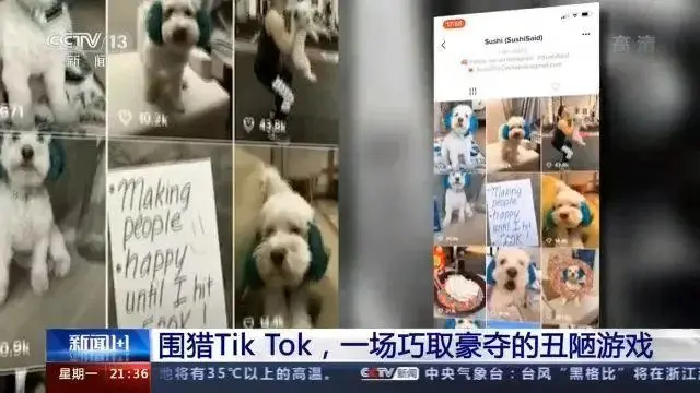 加速美国还是放慢中国_加速美国衰落_美国tiktok加速