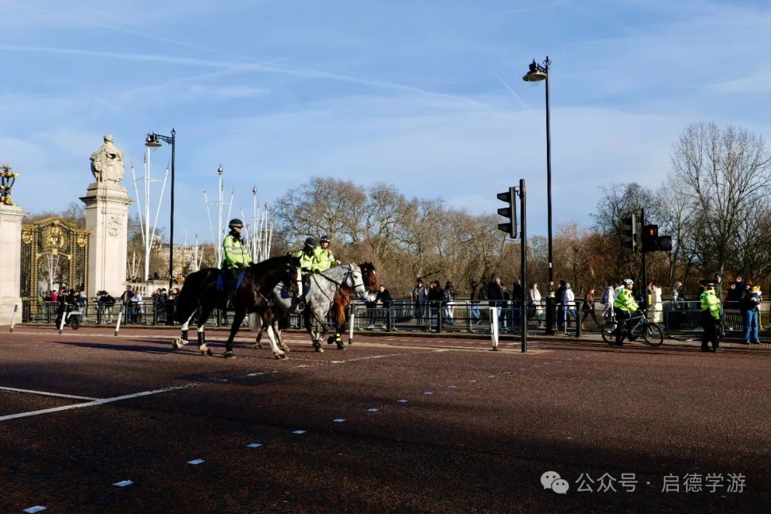 英国直播线路_英国的直播平台_英国电视直播tv